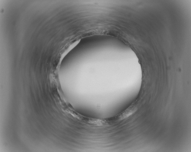 X0000053010432200507291712