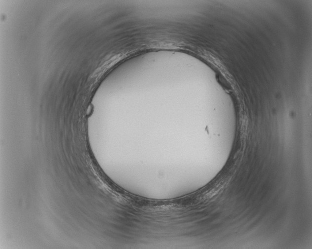 X0000053010433200507291712