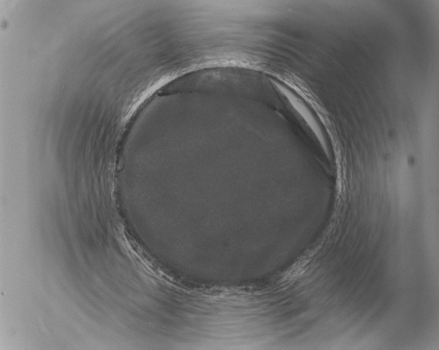 X0000053010434200507291712