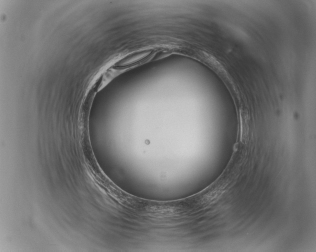 X0000053010435200507291712