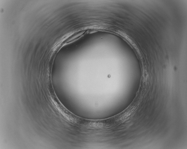 X0000053010437200507291712