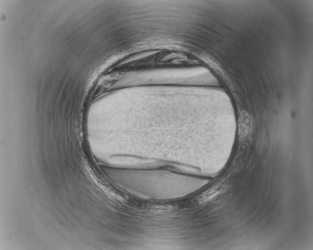 X0000053010438200507291712