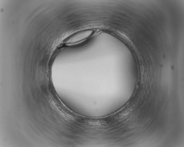 X0000053010439200507291712