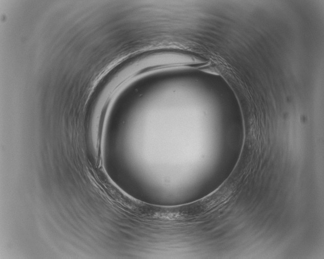 X0000053010440200507291712