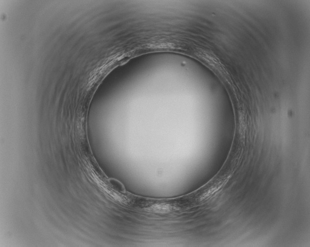 X0000053010441200507291712