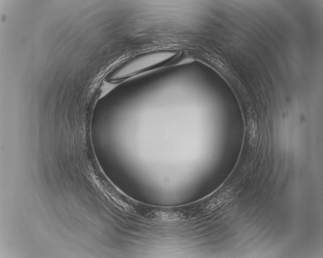 X0000053010442200507291712