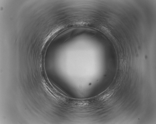 X0000053010443200507291712