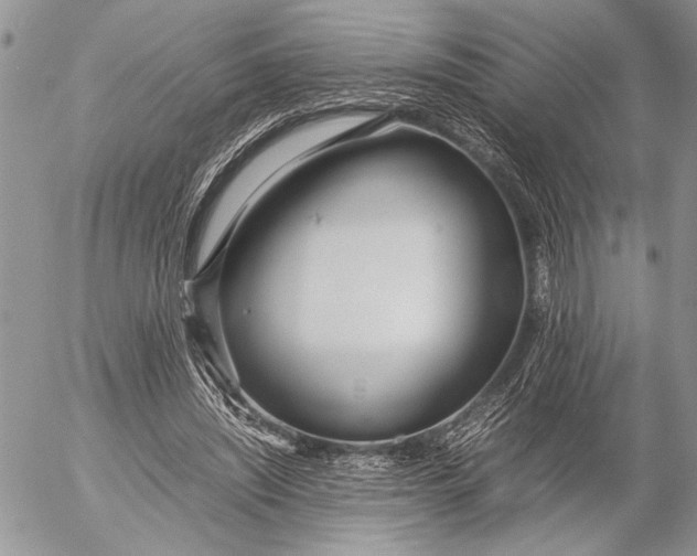 X0000053010444200507291712