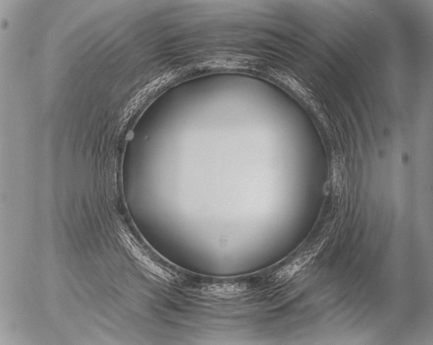 X0000053010445200507291712