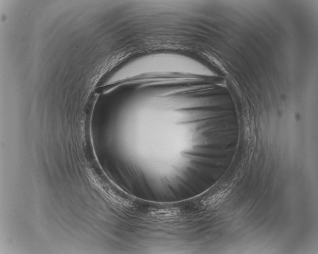 X0000053010447200507291712