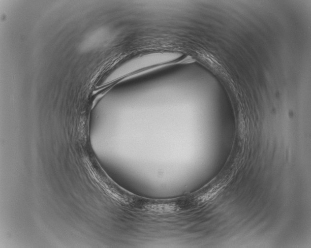 X0000053010449200507291712