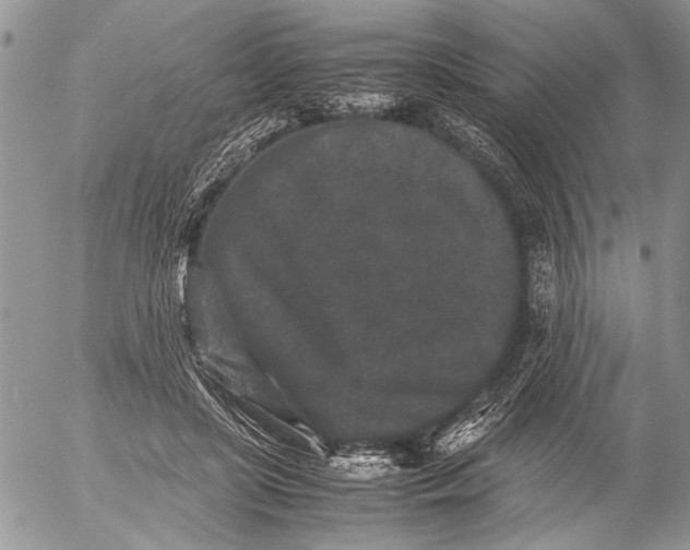 X0000053010451200507291712