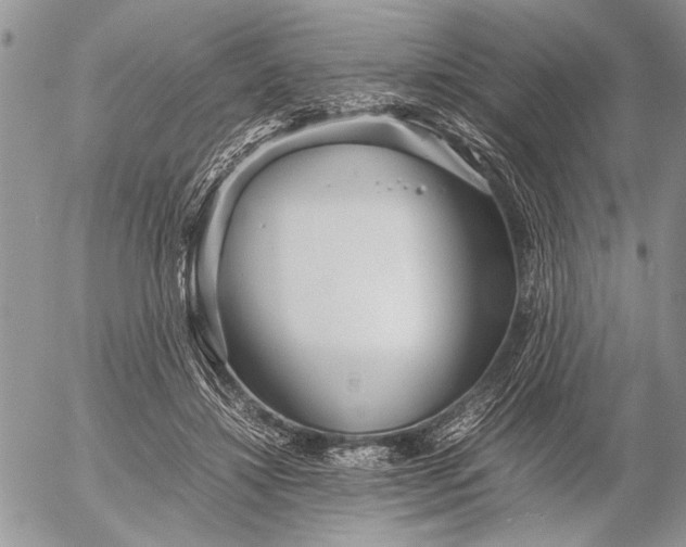 X0000053010452200507291712