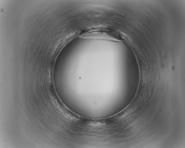 X0000053010453200507291712