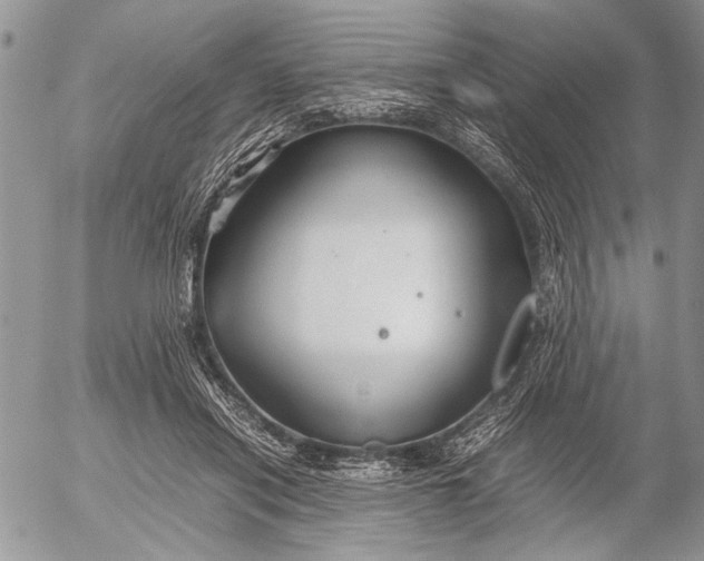 X0000053010454200507291712