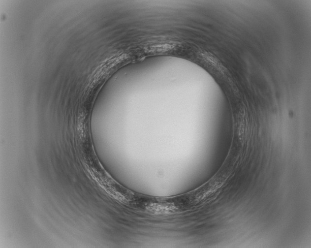 X0000053010455200507291712