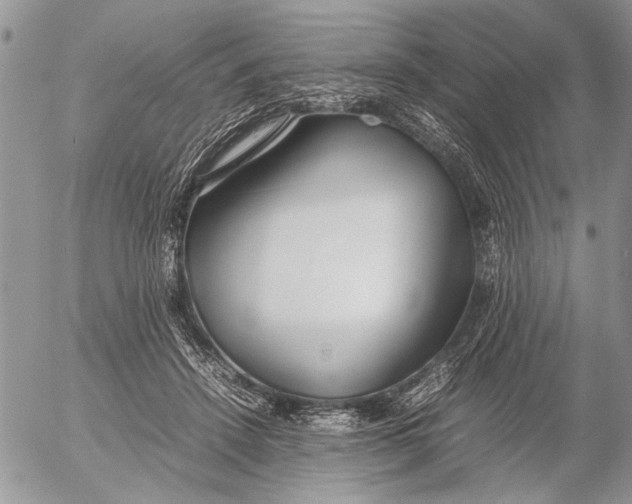 X0000053010456200507291712