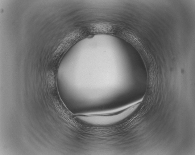 X0000053010457200507291712