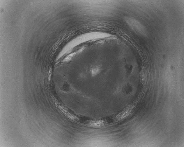 X0000053010458200507291712