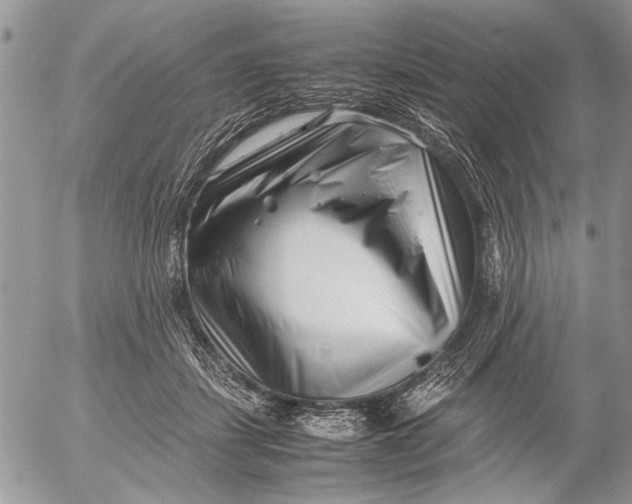 X0000053010459200507291712