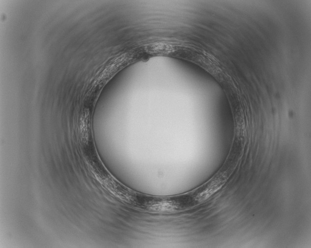 X0000053010460200507291712