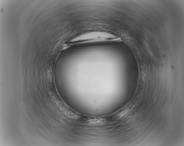 X0000053010461200507291712