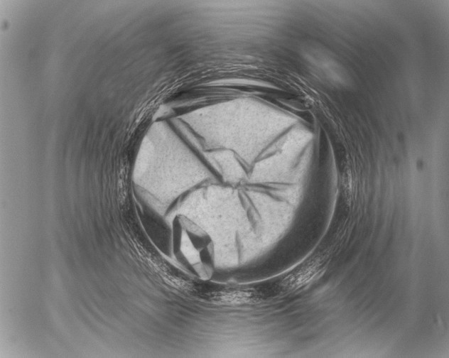 X0000053010462200507291712