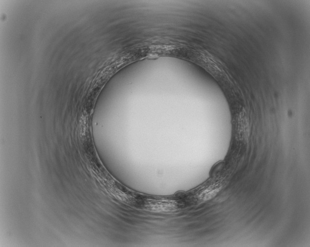 X0000053010463200507291712