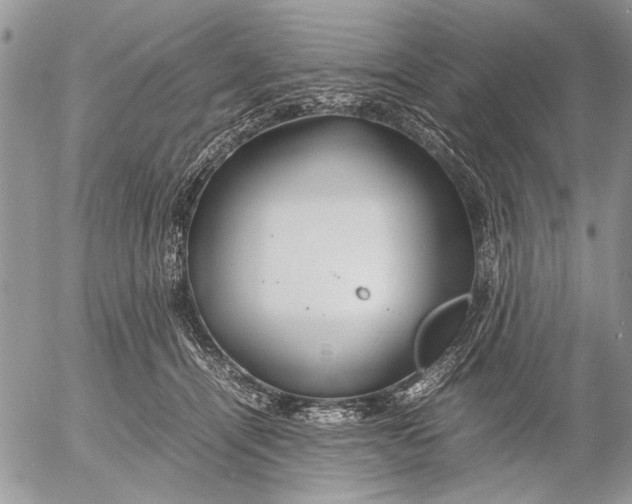 X0000053010464200507291712