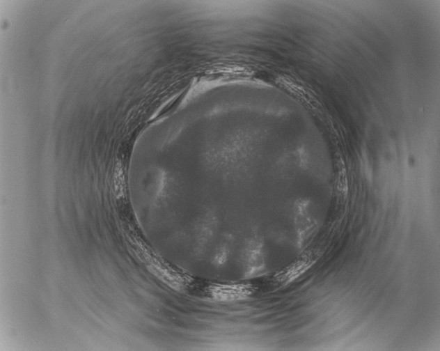 X0000053010465200507291712