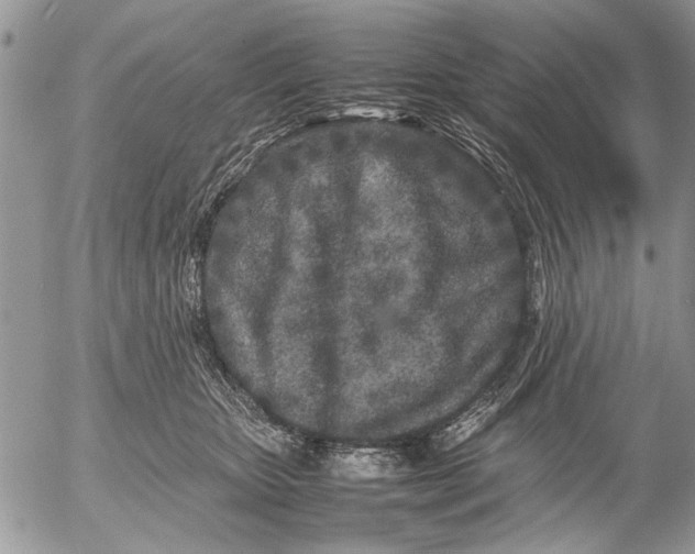 X0000053010467200507291712