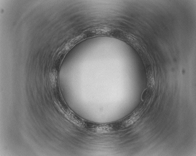 X0000053010468200507291712