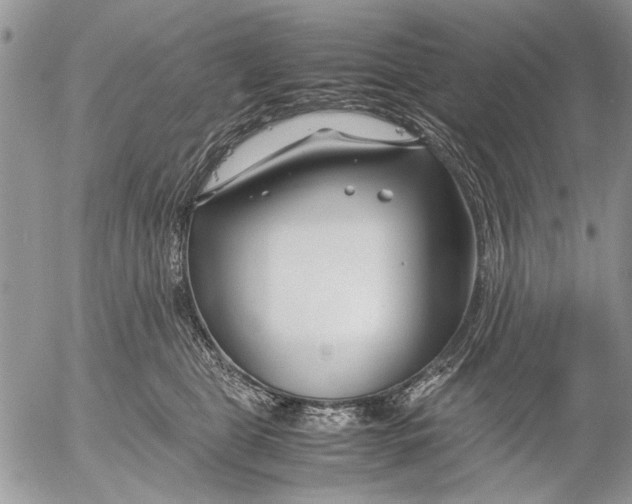 X0000053010469200507291712