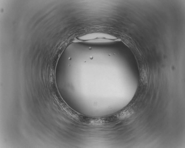 X0000053010470200507291712