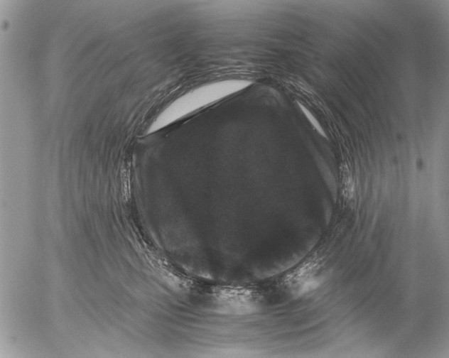 X0000053010471200507291712