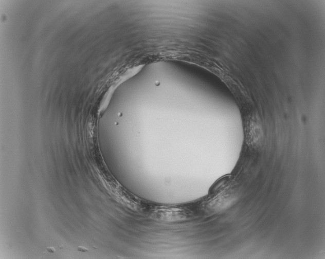 X0000053010472200507291712