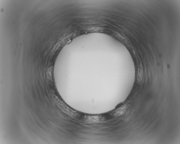 X0000053010473200507291712