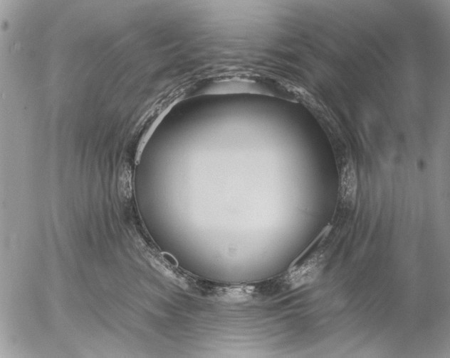 X0000053010474200507291712