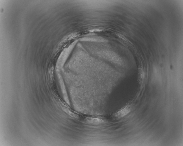 X0000053010475200507291712