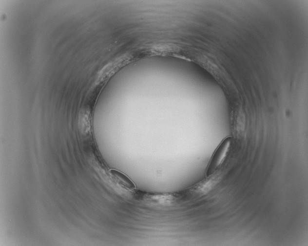 X0000053010478200507291712