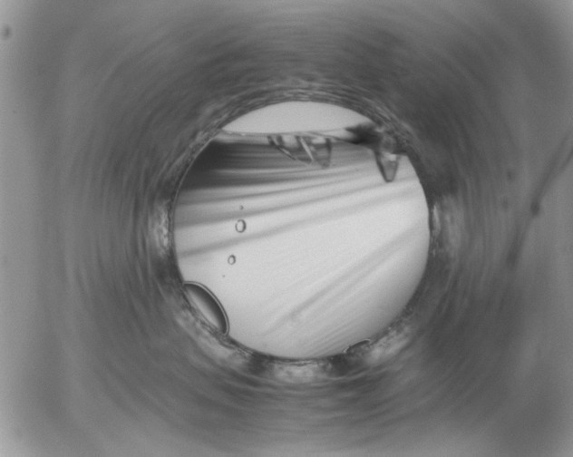 X0000053010479200507291712