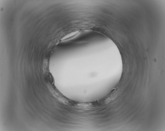 X0000053010480200507291712