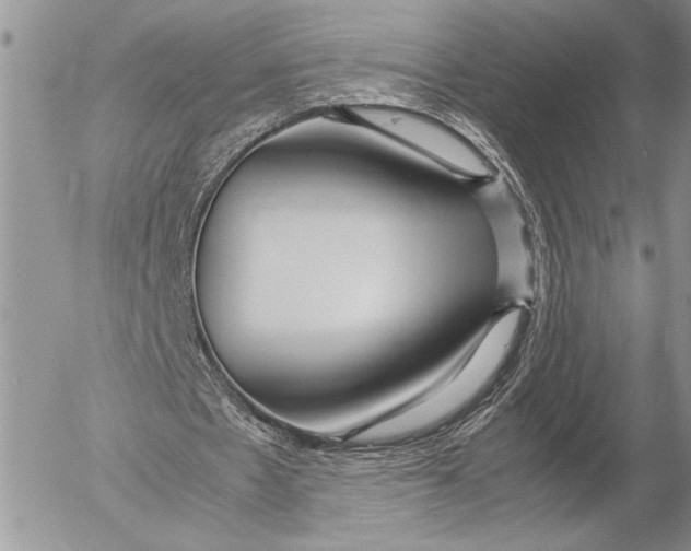 X0000053010481200507291712