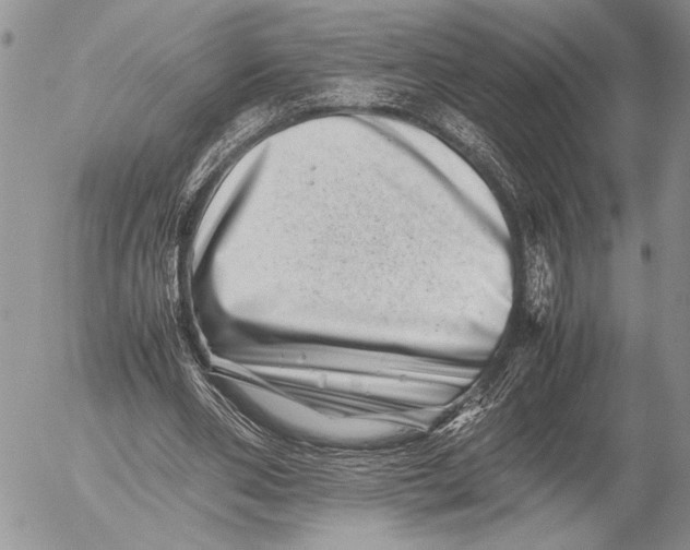 X0000053010486200507291711