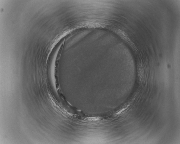 X0000053010488200507291711