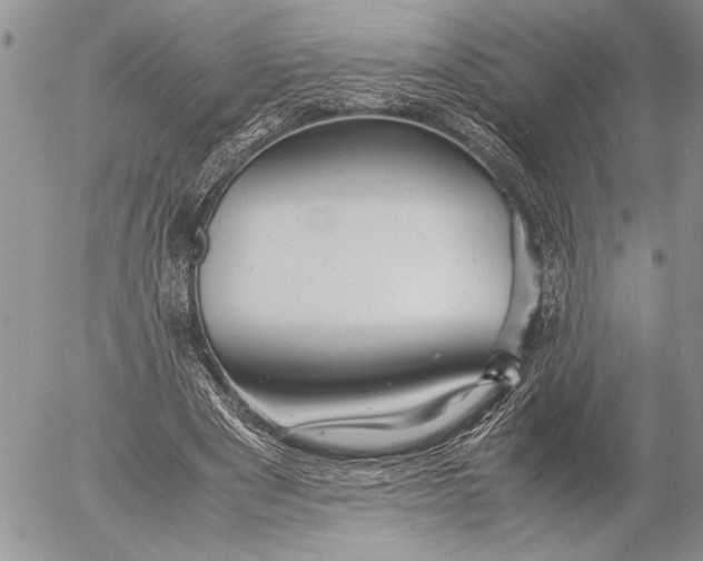 X0000053010489200507291711