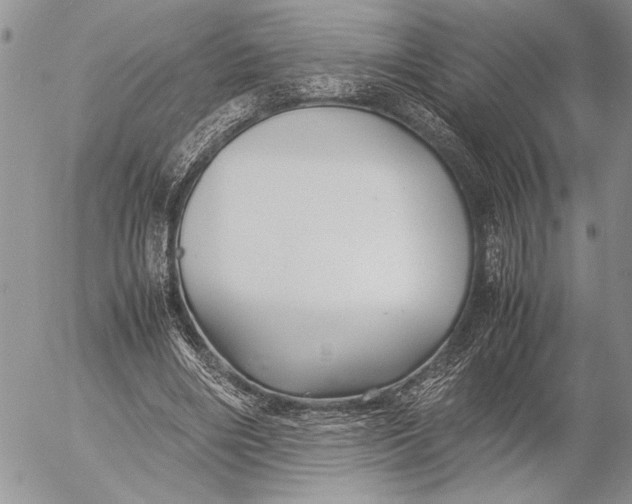 X0000053010490200507291711