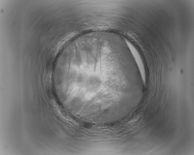 X0000053010491200507291711