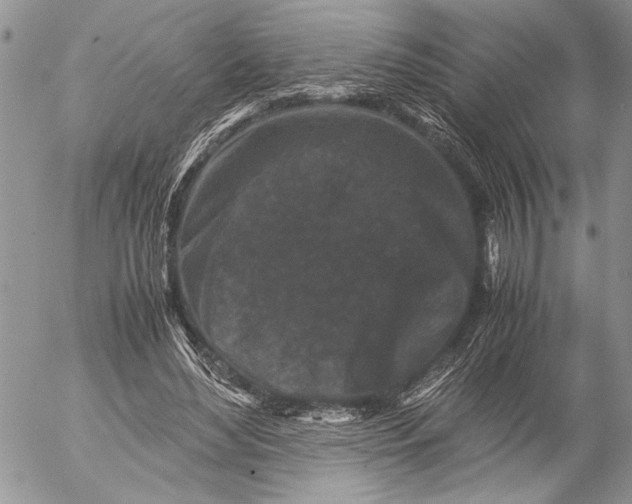 X0000053010492200507291711