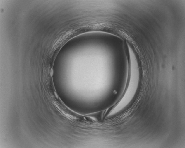 X0000053010493200507291711